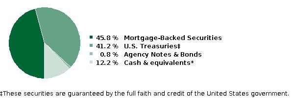 fund holdings