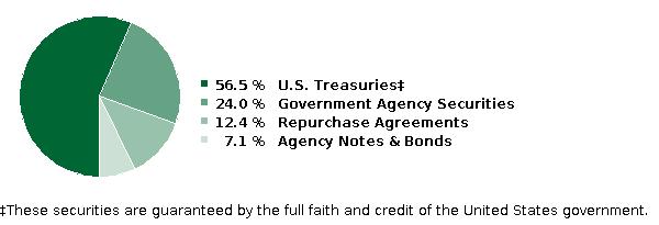 fund holdings