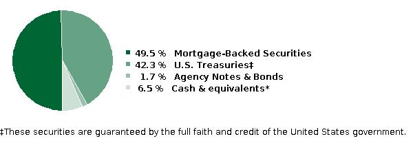 fund holdings